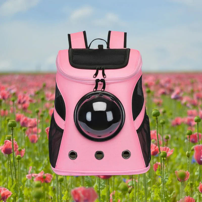Cat Travel Bag – PurrTrek Bowlift