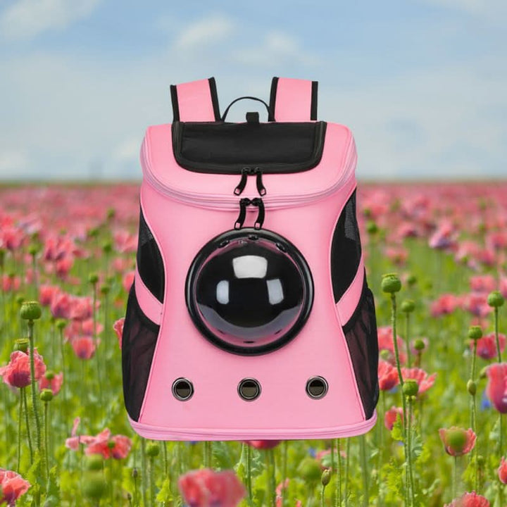 BowLift | Foldable Cat Travel Bag with Panoramic Window & Comfort Design