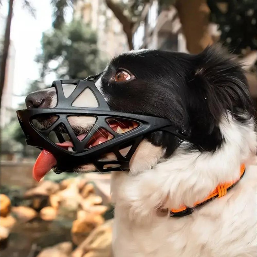 SafeBark • Dog Muzzle - Dog Muzzle - BowLift