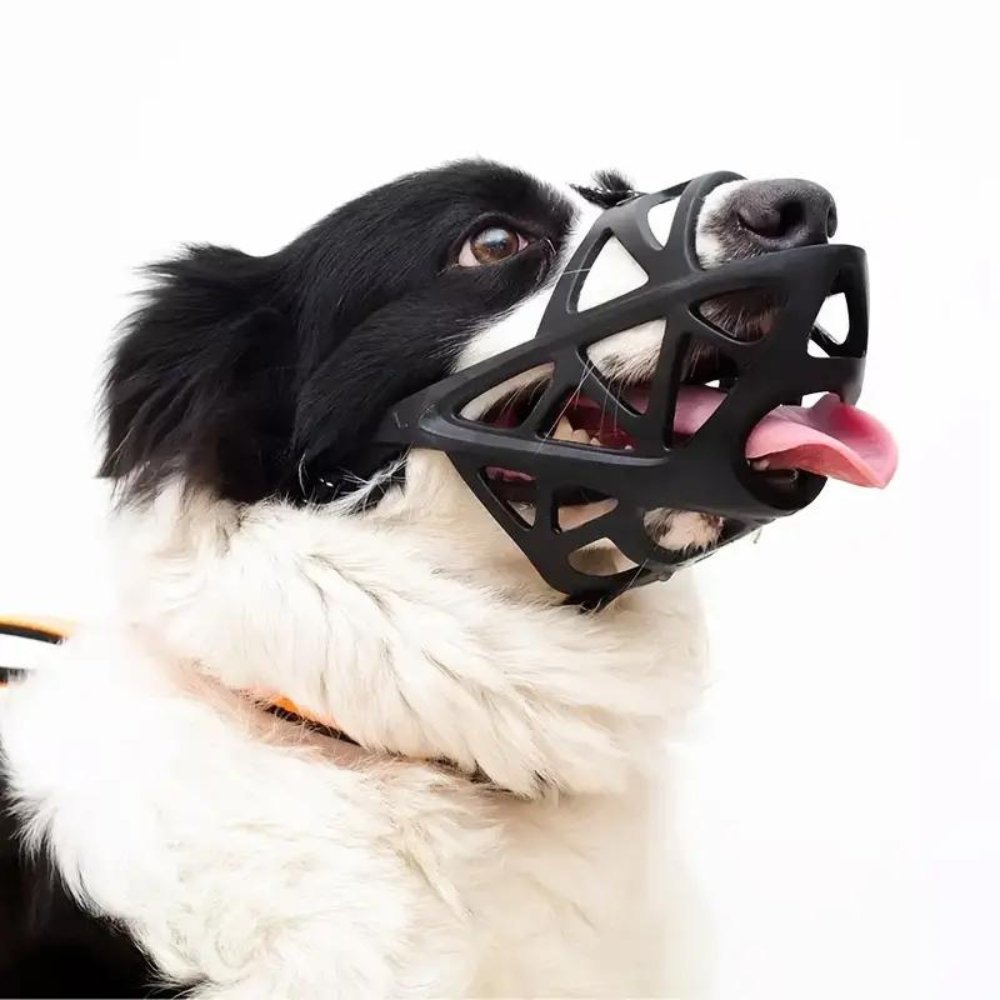 SafeBark • Dog Muzzle - Dog Muzzle - BowLift