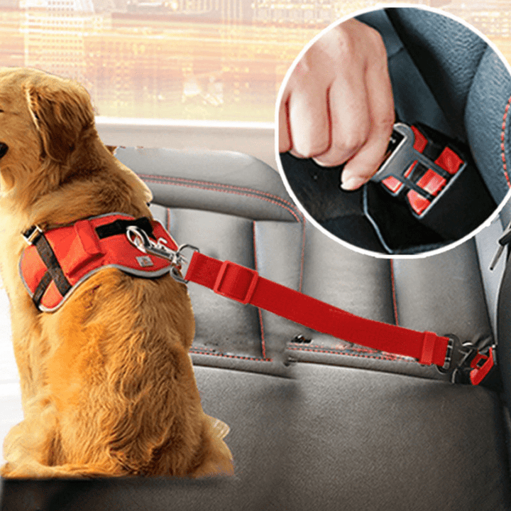 BowLift | PETLOCK – Adjustable Dog Seat Belt for Safe Car Travel