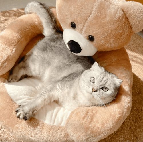BowLift | SAMIYA – Plush Cat Bed with Raised Edge for Comfort and Security