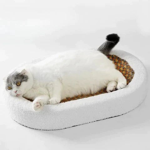 Scratching Bed for Cats - PurrLuxe Bowlift