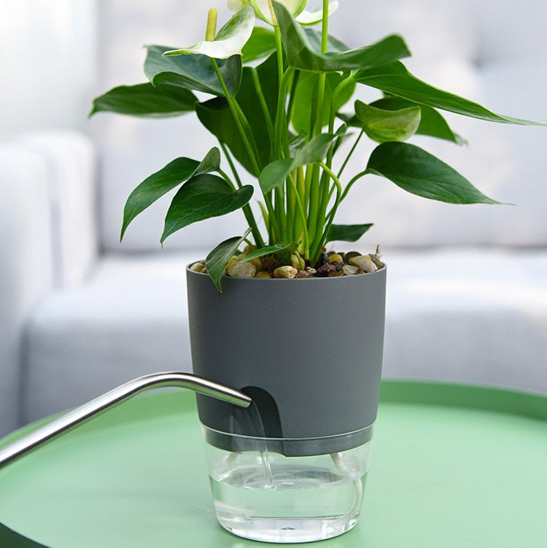 BowLift | Self-Watering Plant Pot - AquaBloom