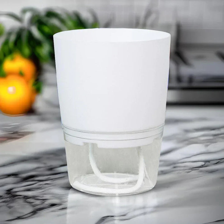 BowLift | Self-Watering Plant Pot - AquaBloom