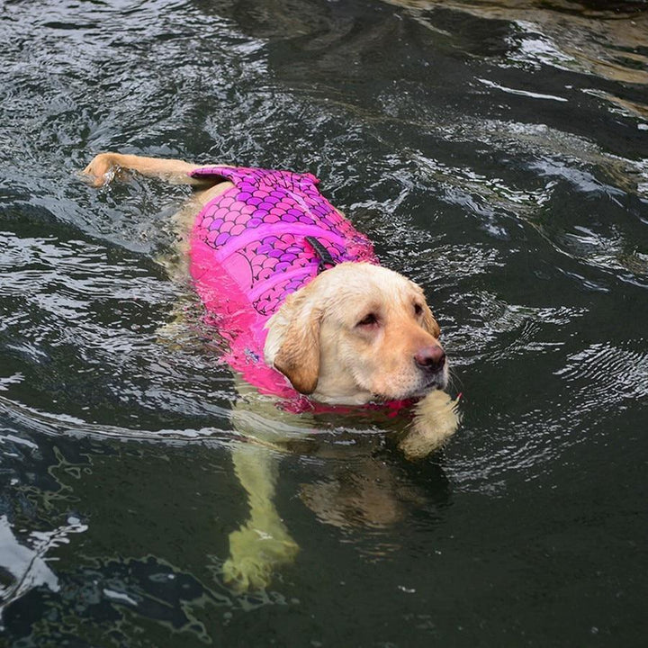 BowLift | Dog's Shark Life Vest