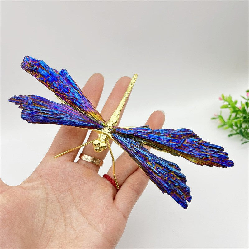 AURA TOURMALINE KYANITE DRAGONFLY | Bowlift