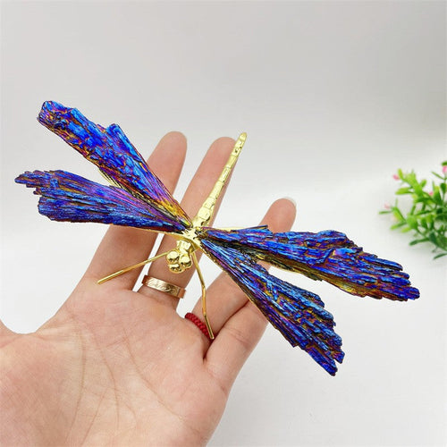 AURA TOURMALINE KYANITE DRAGONFLY | Bowlift