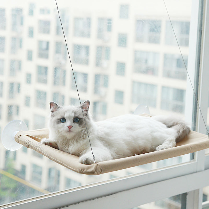 BowLift | Suction Cup Cat Hammock