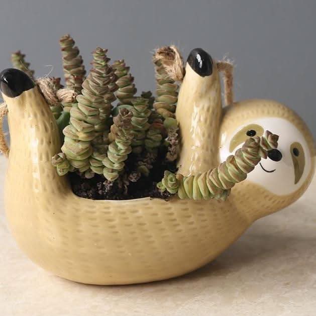 BowLift | LUMA – Stylish Hanging Sloth Vase for Your Spaces