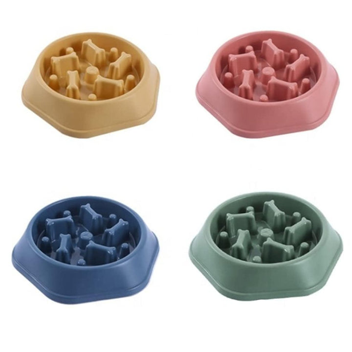 SlowBowl • Dog Feeding Bowl Slow - Dog Feeding Bowl Slow - BowLift