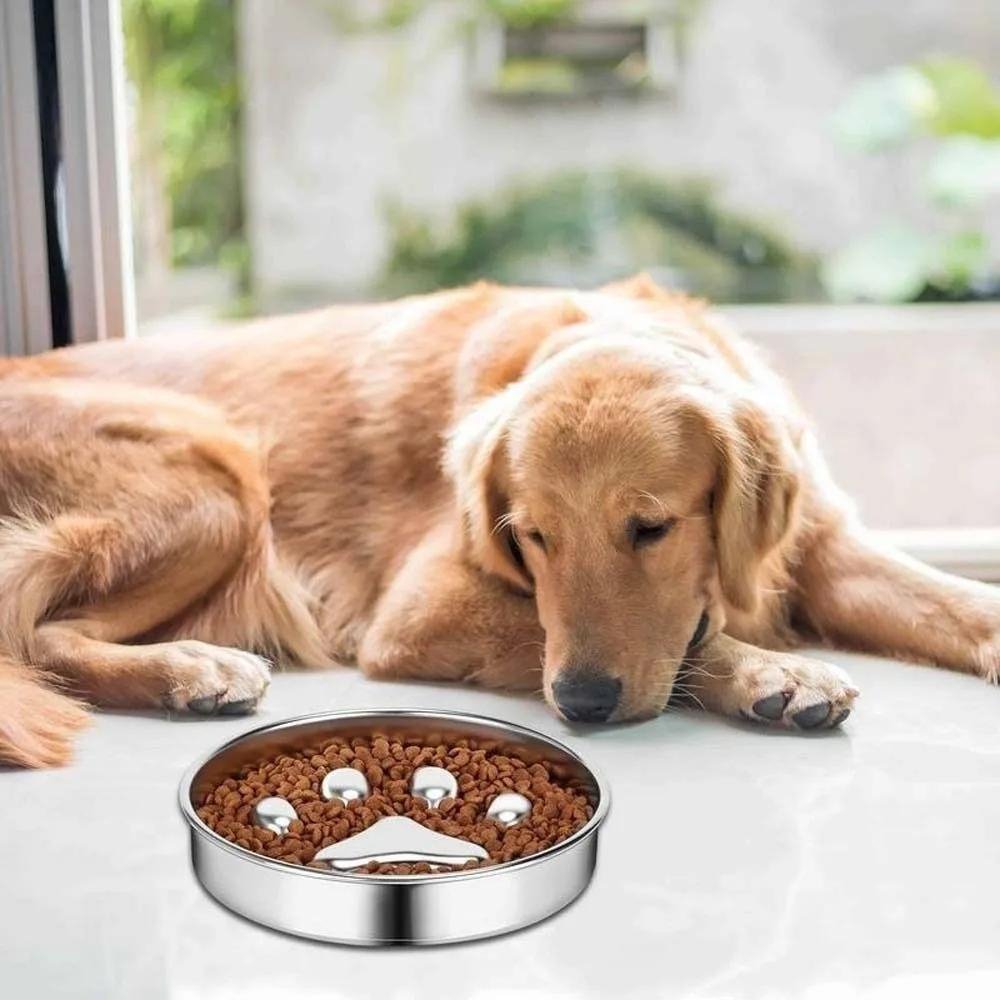 SlowFeast • Dog Feeding Bowl Slow - Dog Feeding Bowl Slow - BowLift