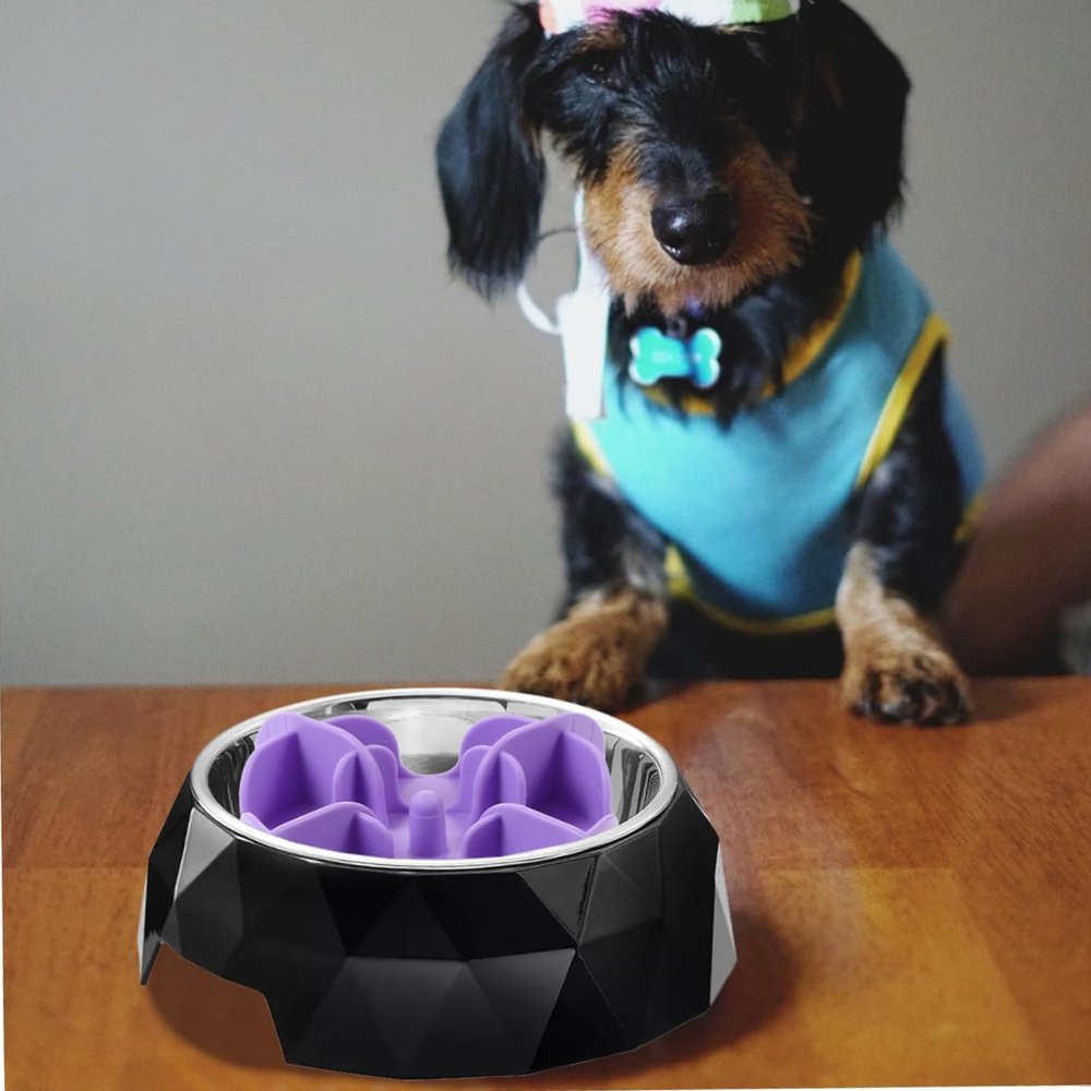 SlowMunch • Dog Feeding Bowl Slow - Dog Chew Toy - BowLift