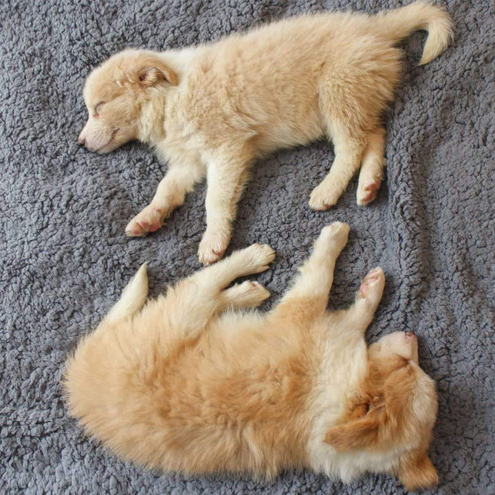 Soft Puppy Blanket - SnuggleFur Fleece Bowlift