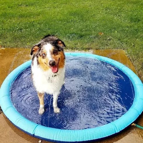 SplashyPaws • Splash Pad - Dog Sprinkler Pool - BowLift