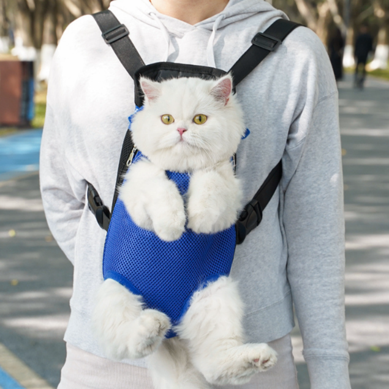 BowLift | FellFreund TravelBuddy – The comfort backpack for on the go