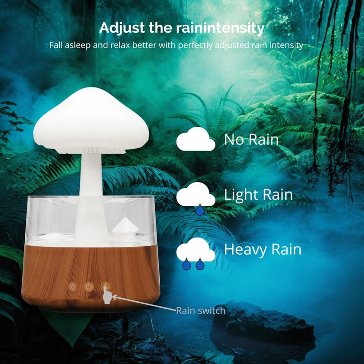 BowLift | Rain Cloud humidifier