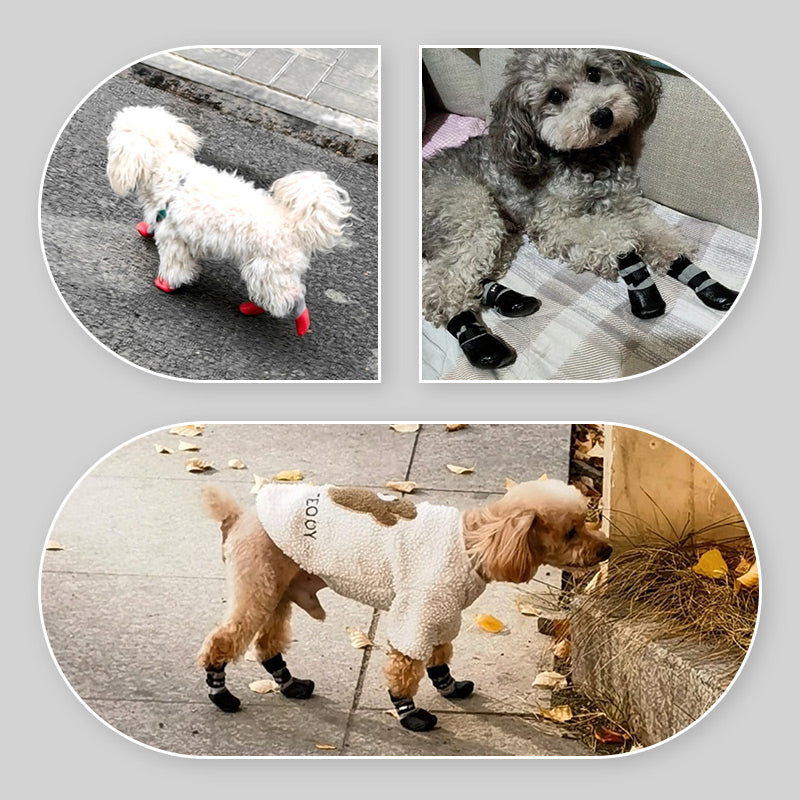 BowLift | PawSocks Comfy Paw Protection