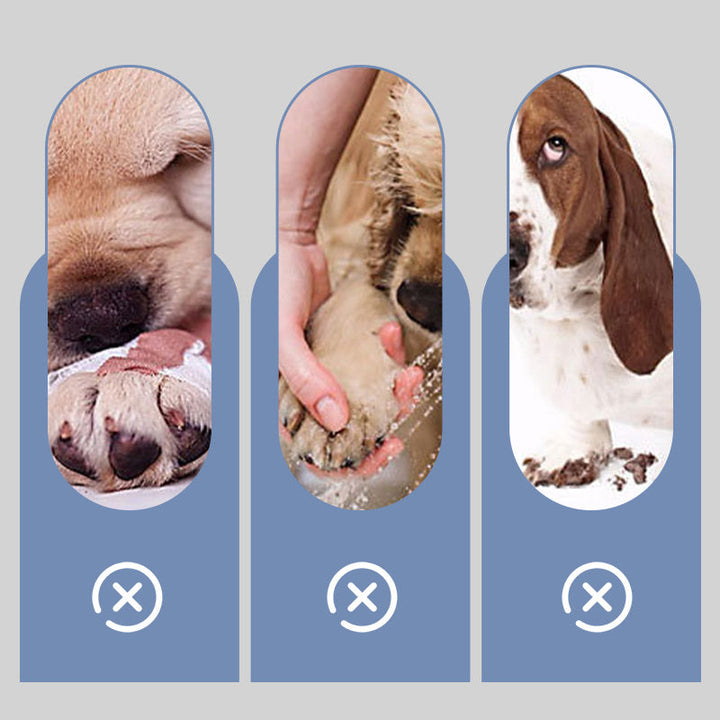 BowLift | PawSocks Comfy Paw Protection