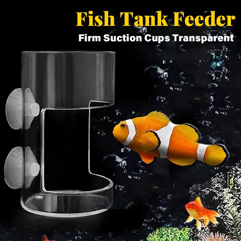 BowLift | Feeding ring and tray for aquarium