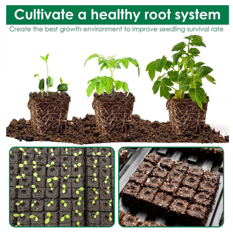 BowLift | EcoBrick Root-Ready Blocks