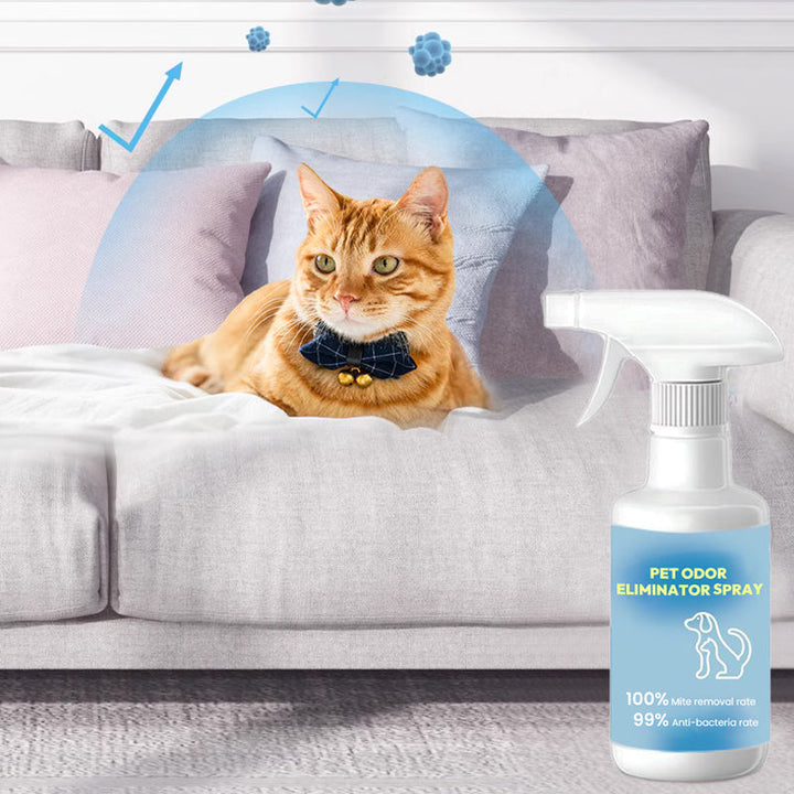 BowLift | Spray for removing pet odor