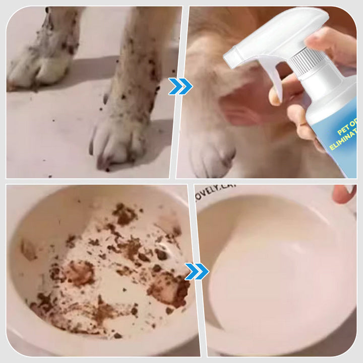 BowLift | Spray for removing pet odor