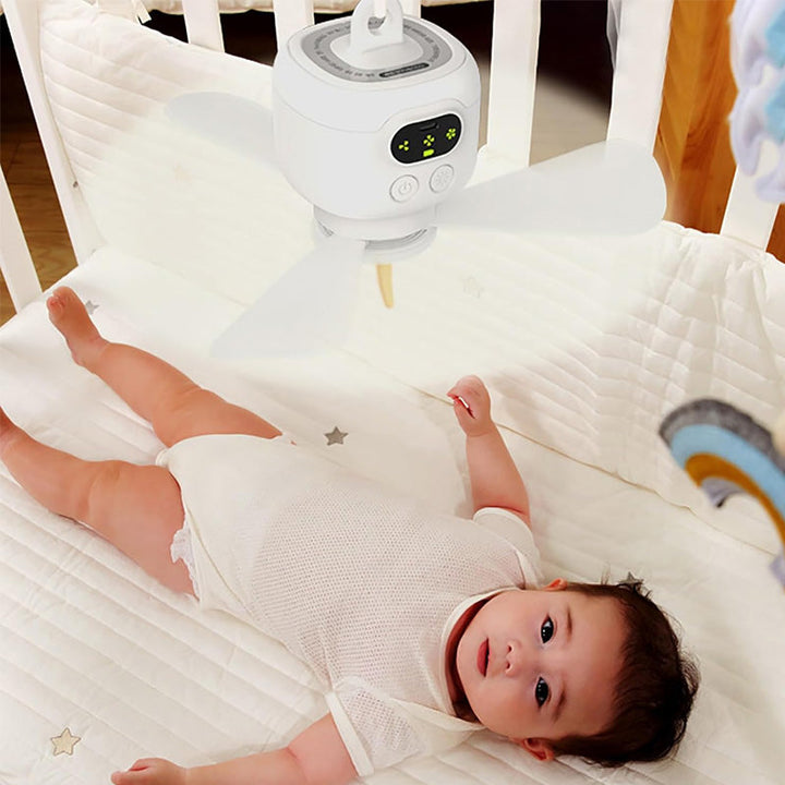Rechargeable Ceiling Fan with LED Lights | Bowlift