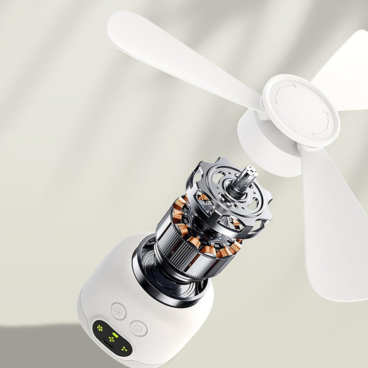 Rechargeable Ceiling Fan with LED Lights | Bowlift