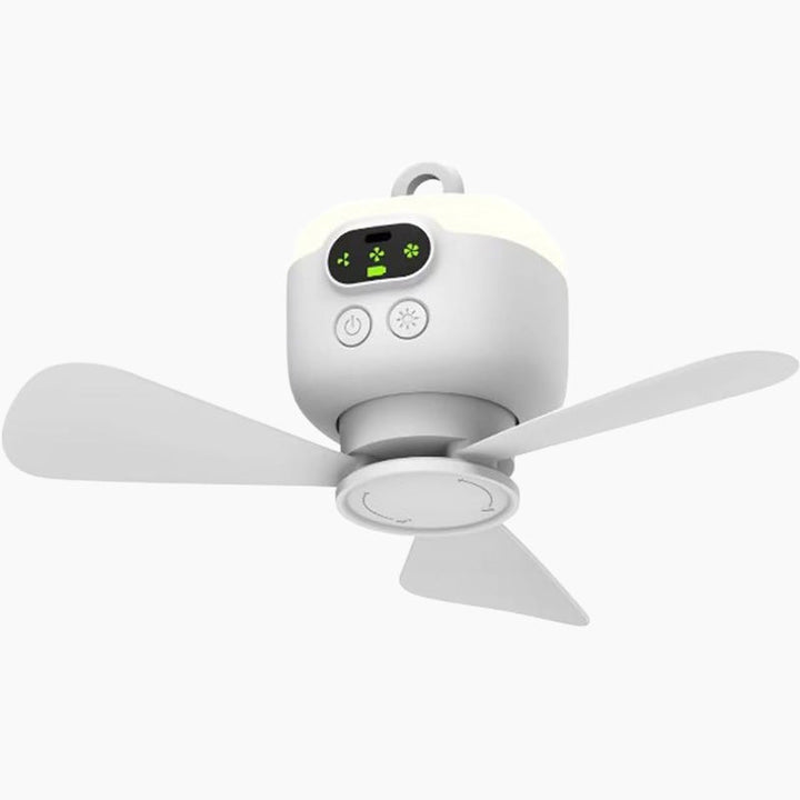 Rechargeable Ceiling Fan with LED Lights | Bowlift