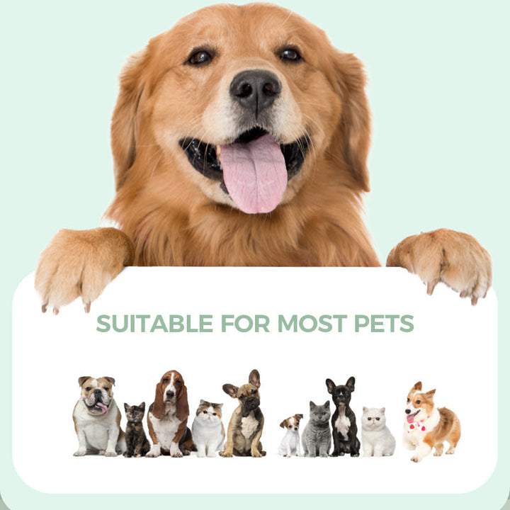 BowLift | Multifunctional rechargeable shaver with low noise level for pets