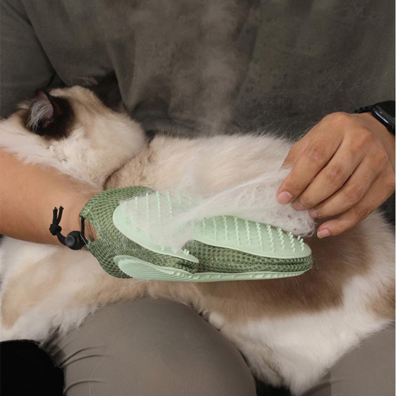 BowLift | FurMist – Coat care without water stress!