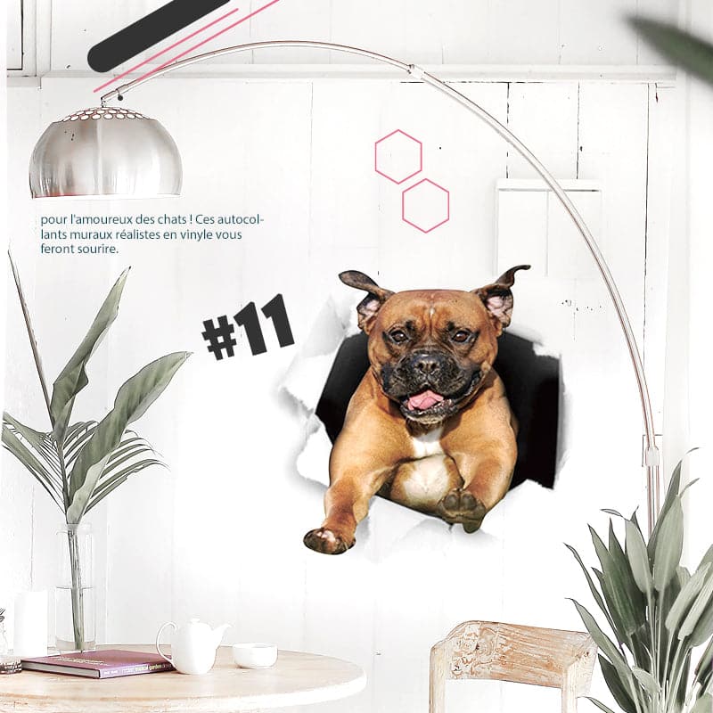 BowLift | 3D stickers with cats and dogs that can be removed