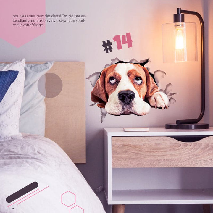 BowLift | 3D stickers with cats and dogs that can be removed