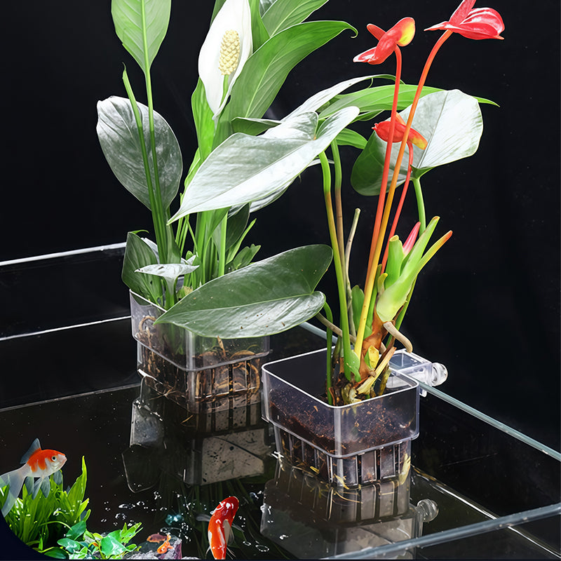 BowLift | Hanging aquarium plant holder