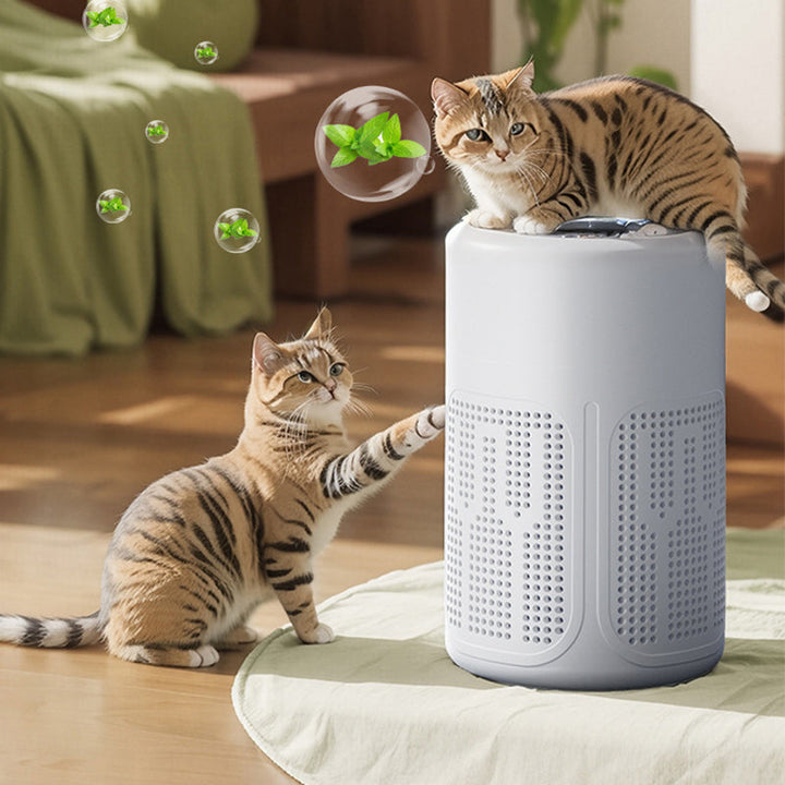 Compact air purifier for home | Bowlift