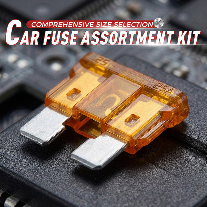 Automotive fuse assortment 300 pieces with fuse puller | Bowlift
