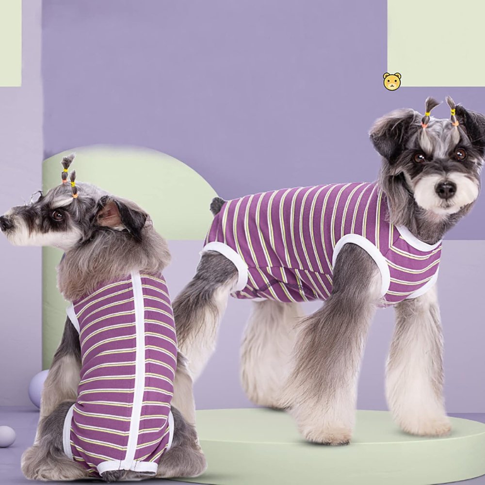 StripeGuard • Dog Recovery Suit for Post - Surgery Care - Dog Recovery Suit - BowLift