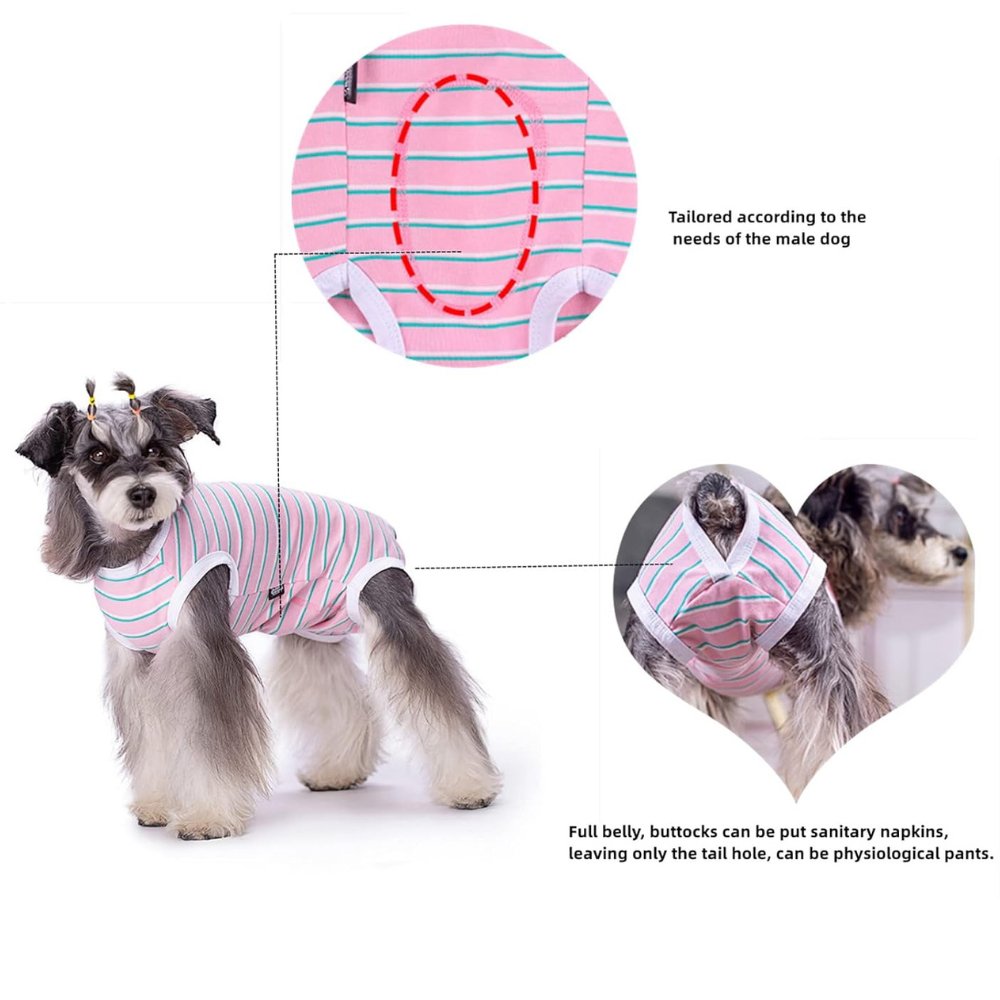 StripeGuard • Dog Recovery Suit for Post - Surgery Care - Dog Recovery Suit - BowLift