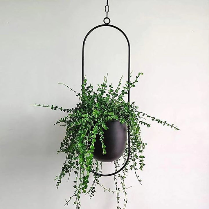 BowLift | Stylish Indoor and Outdoor Plant Hanger - LeafLuxe