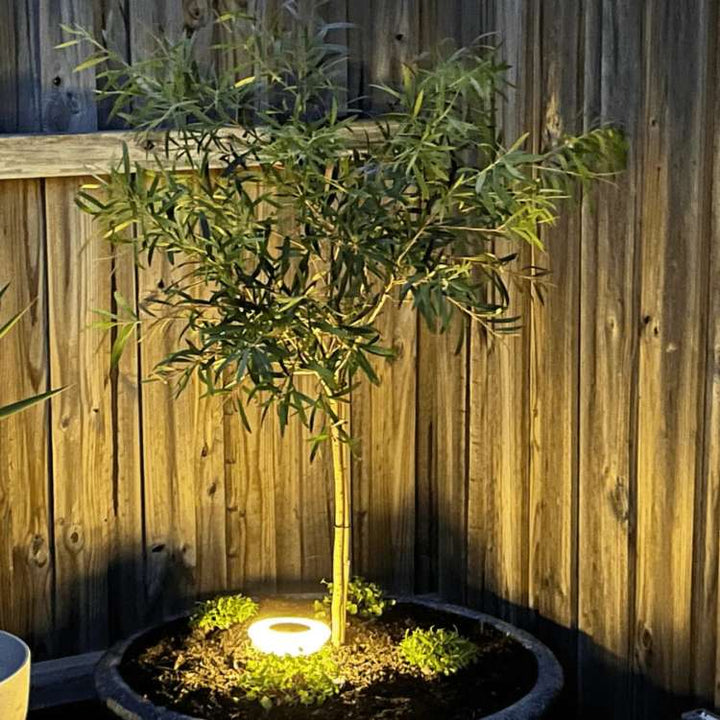 BowLift | Solar-Powered Garden Lights | Rust-Proof, Weatherproof & Ideal for Year-Round Outdoor Use