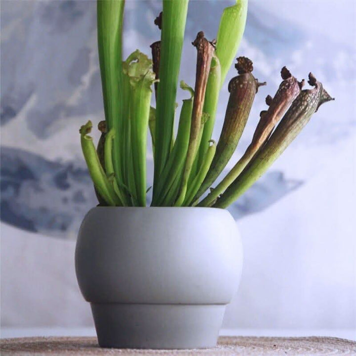 BowLift | SYLENA – Elegant ceramic vase for timeless design