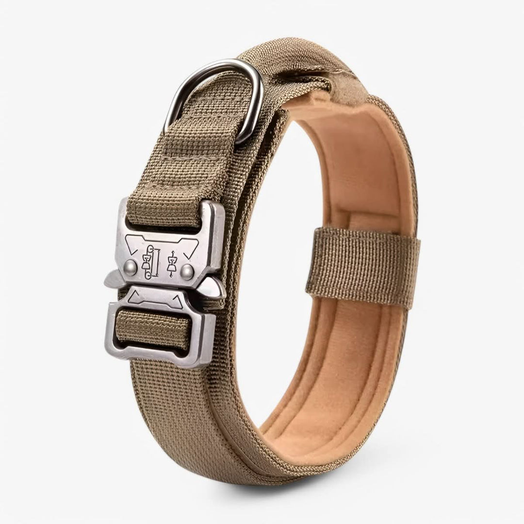 BowLift | Adjustable Dog Collar Set for Adventures and Daily Training