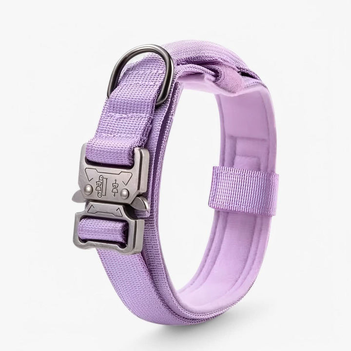 BowLift | Adjustable Dog Collar Set for Adventures and Daily Training