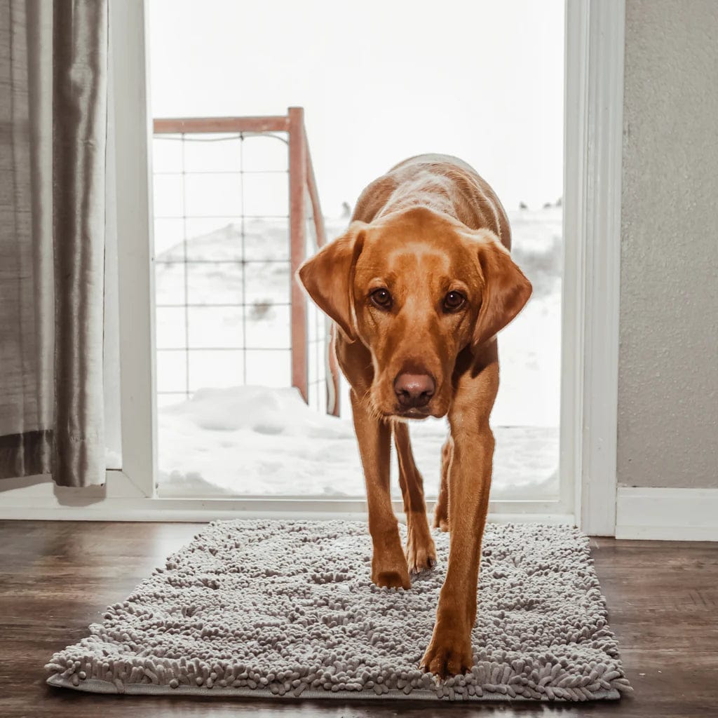 CleanPattoune - The Ultimate Absorbent Dog Mat