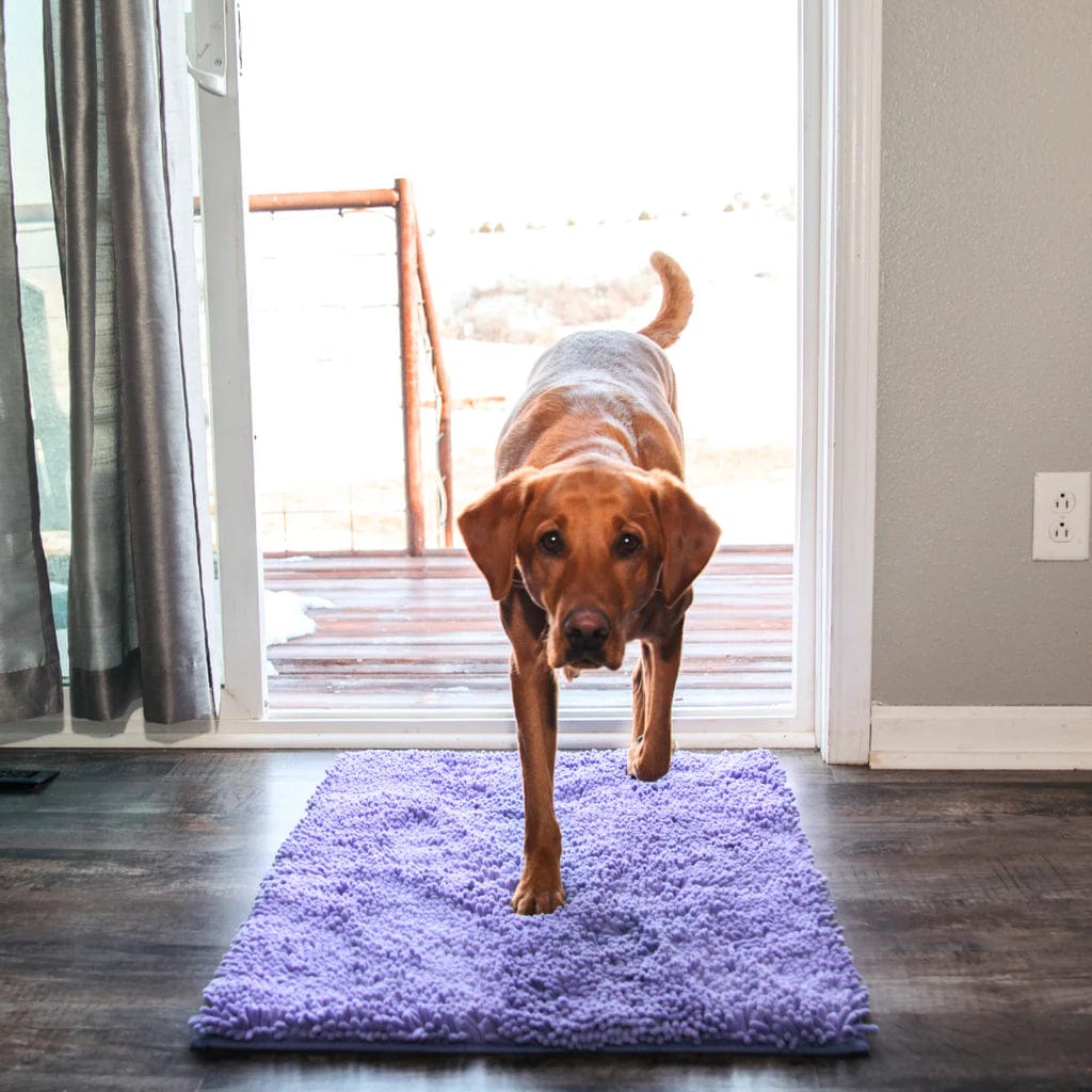 CleanPattoune - The Ultimate Absorbent Dog Mat