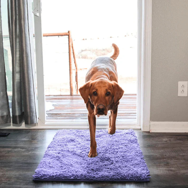 BowLift | Super Absorbent Dog Mat – PawMat