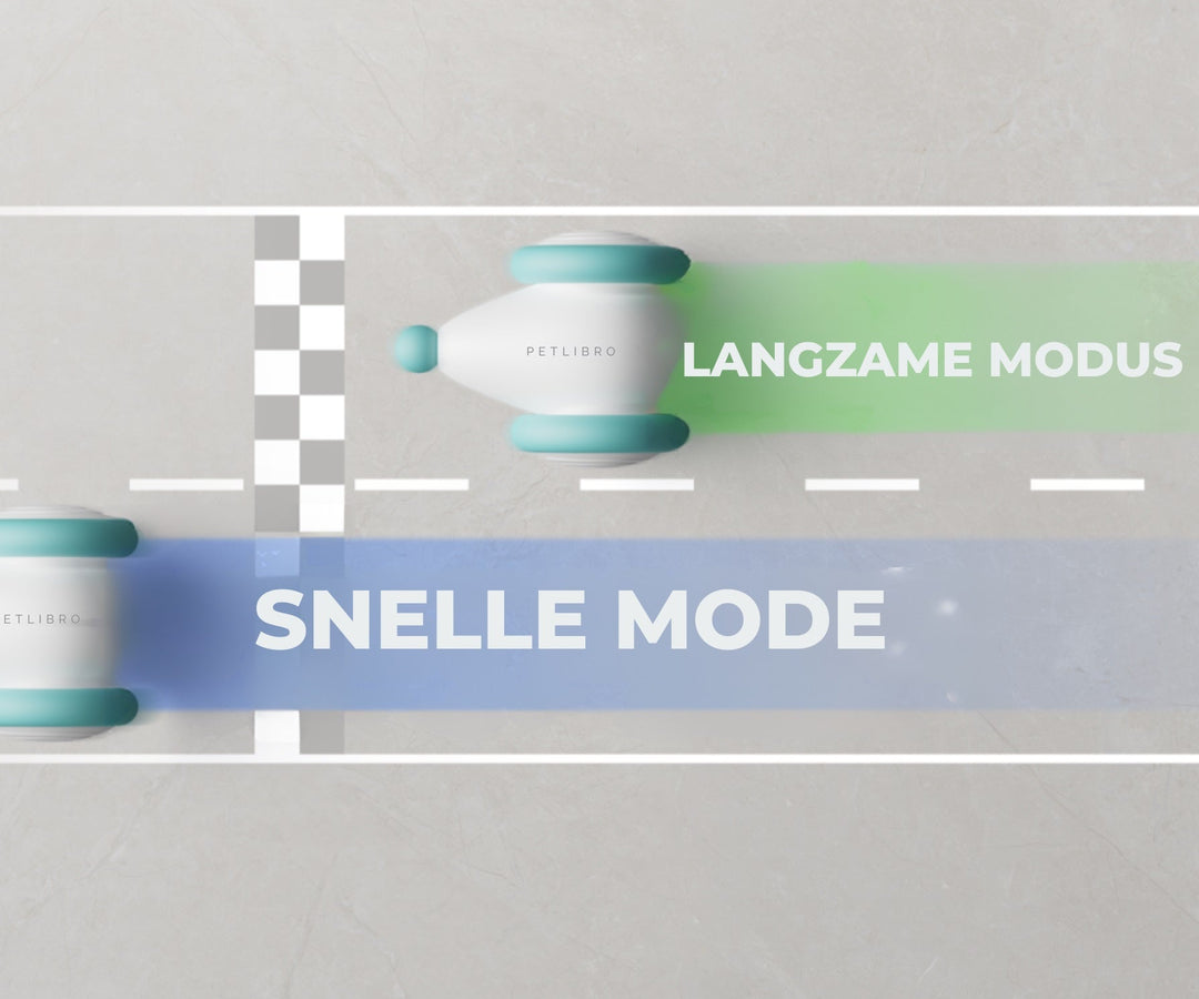 The Ultimate Chew-Resistant Cat Toy - WhiskerPlay Bowlift