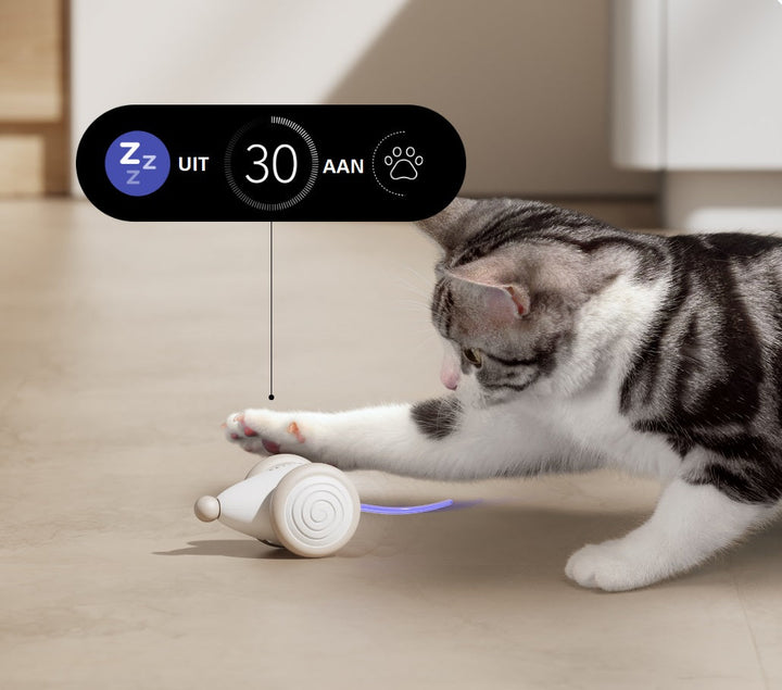 The Ultimate Chew-Resistant Cat Toy - WhiskerPlay Bowlift