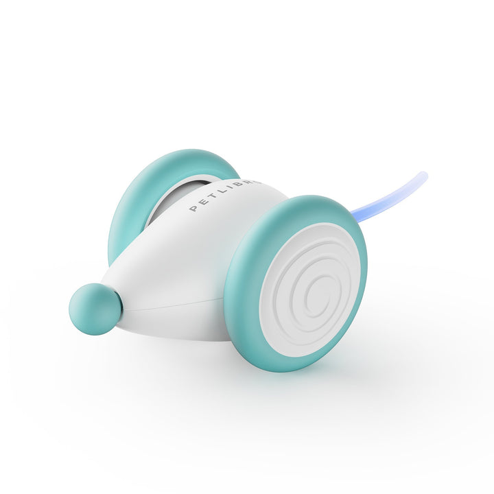 The Ultimate Chew-Resistant Cat Toy - WhiskerPlay Bowlift